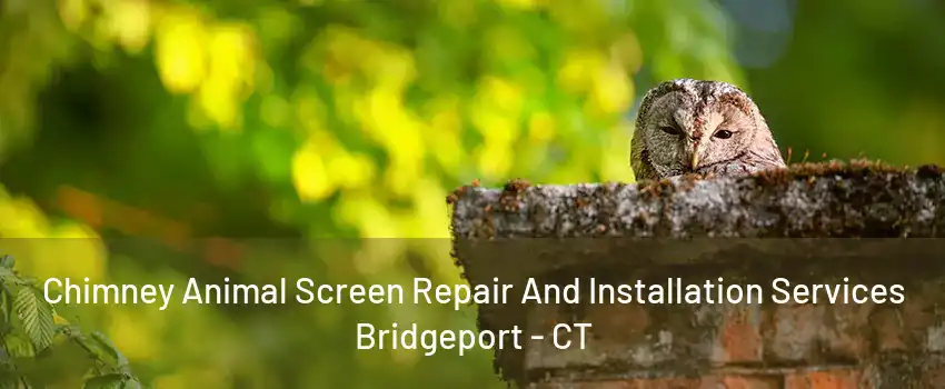 Chimney Animal Screen Repair And Installation Services Bridgeport - CT