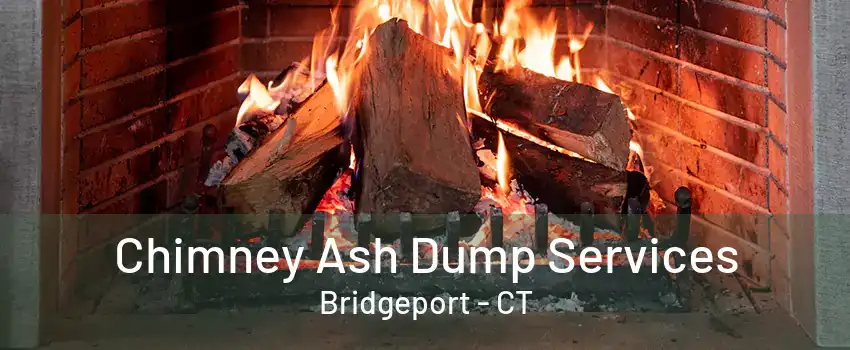 Chimney Ash Dump Services Bridgeport - CT