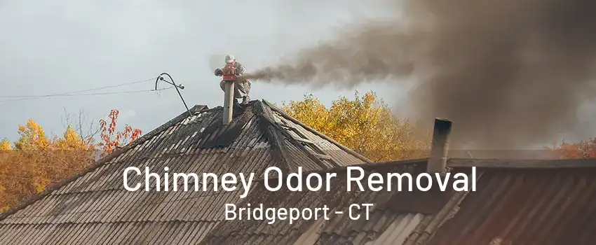 Chimney Odor Removal Bridgeport - CT