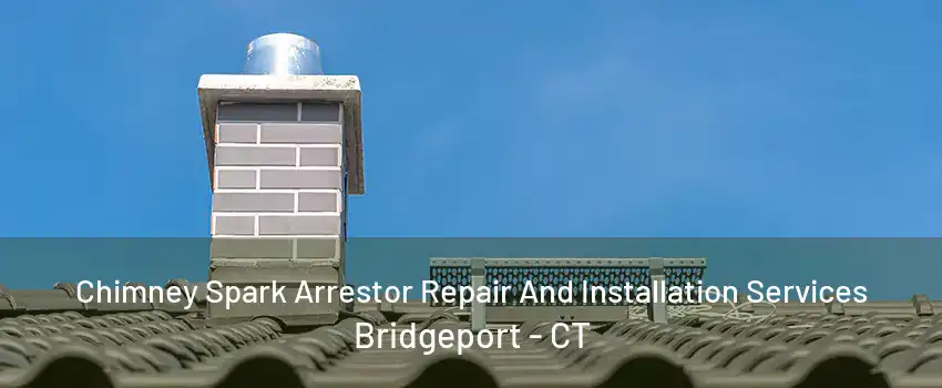 Chimney Spark Arrestor Repair And Installation Services Bridgeport - CT