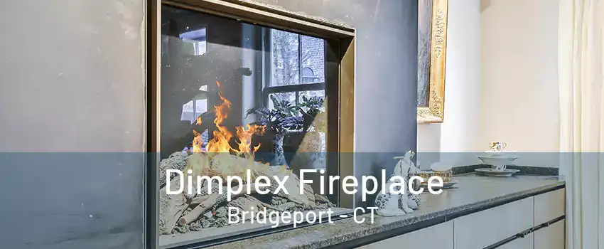 Dimplex Fireplace Bridgeport - CT