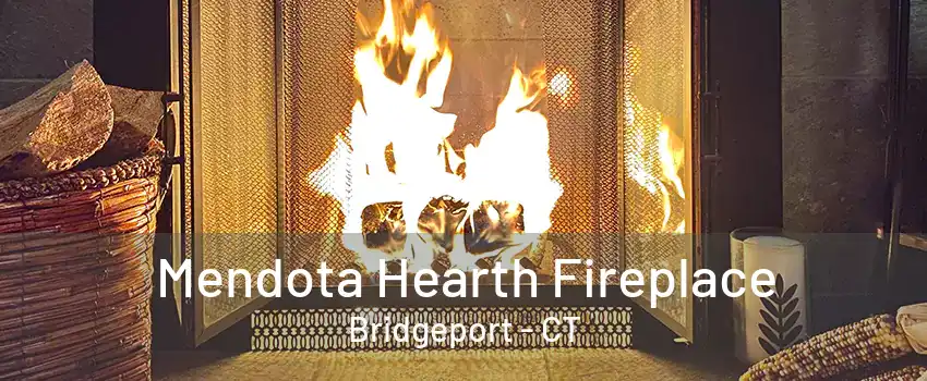 Mendota Hearth Fireplace Bridgeport - CT