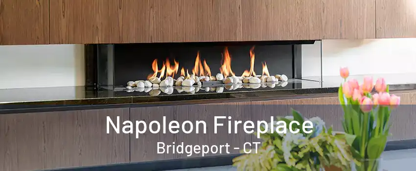 Napoleon Fireplace Bridgeport - CT